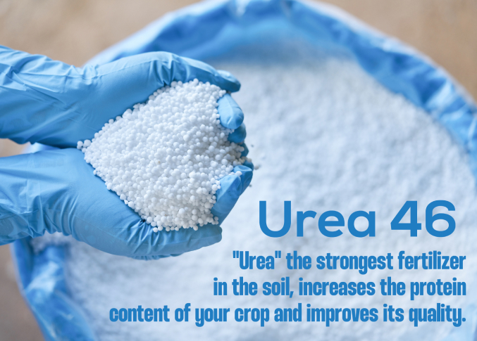 UREA 46 Fertilizer